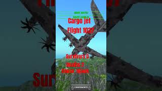 Cargo jet flight 1037tfs [upl. by Naejarual8]