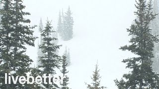 Sonidos Relajantes de Nevada para Dormir  Sonidos de la Naturaleza de Relajación para Dormir Bien [upl. by Iridis]