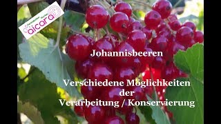 Verschiedene Methoden der Konservierung roter Johannisbeeren aus dem Aicara Permakultur Hortus 720p [upl. by Egiedan]