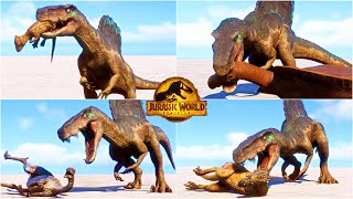 Hybrid Spinoraptor MOD Hunting Animations vs All Dinosaurs in Jurassic World Evolution [upl. by Delle]