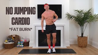 10 MIN NO JUMPING AT HOME CARDIO WORKOUT FOR FAT LOSS [upl. by Naicul229]