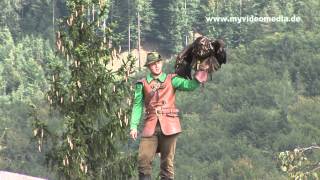 Festung Hohenwerfen Greifvogelschau  Austria HD Travel Channel [upl. by Azile98]