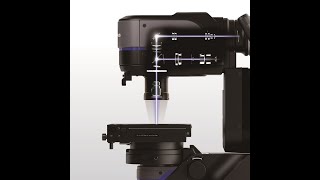 DSX1000 Industrial Microscopes Powerful Analysis Dynamic Imaging [upl. by Anidualc]