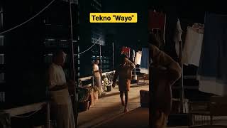 Tekno release new hit song quotWayo [upl. by Ahsiken24]