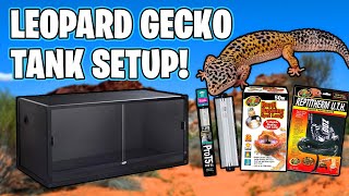 Leopard Gecko Setup for beginners [upl. by Zena61]