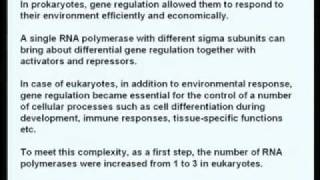 Mod01 Lec01 Eukaryotic RNA polymerases and basal transcription factors [upl. by Rickey]