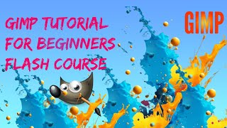 Gimp Tutorial For Beginners Flash Course [upl. by Kylie]