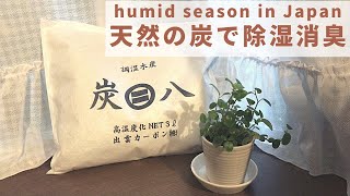 【除湿・消臭】電気を使わずスッキリ快適なお部屋に！（天然の炭で半永久的な効果） [upl. by Squire742]