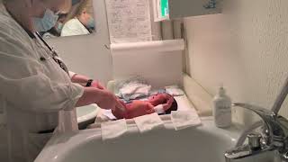 Newborn Baby Bathing  Newborn Baby Bathing in Bathtub  How to bath Newborn Baby  Newborn Baby [upl. by Ardnek14]