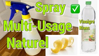 Recette maison  fabriquer son spray nettoyant multiusages économique amp écologique  DIY naturel [upl. by Evvy]