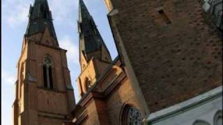 Uppsala  Lutheran Cathedral  Prelude [upl. by Nosnor648]