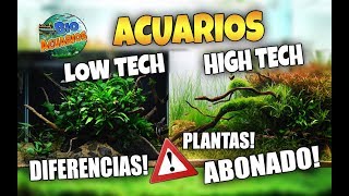 ABONADO y PLANTAS en ACUARIOS HIGH Y LOW TECH ¿Qué NECESITAMOS  BioAcuarios HD [upl. by Wertz]