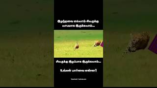 motivation survival tamilmotivation animals hardwork tamilshorts successmotivation line [upl. by Yruj318]