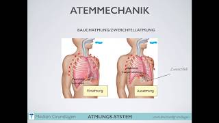 Atmung Atmungsantrieb Medizin Grundlagen Teil 2 [upl. by Lemart727]