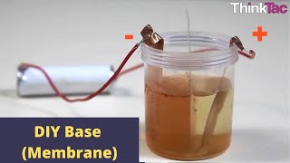 DIY Base Membrane  ThinkTac  DIY Science [upl. by Ahsaeit907]