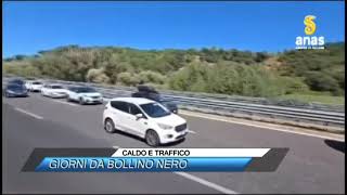 ✅ CALDO E TRAFFICO GIORNI DA BOLLINO NERO SUD TV 114 [upl. by Anitsirhc]