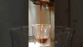 Lelit Grace Shot Short tomscoffeecorner espresso [upl. by Noek]