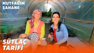 Sütlaç  Özlem amp Yasin ile Mutfağım Şahane [upl. by Pisarik417]