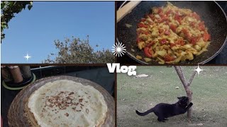 vlog 😻😋 CRÊPES RECETTE DU JOUR MON CHAT FAIT SES ONGLES cats cuisine crepes 👍 [upl. by Circosta400]