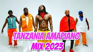 TANZANIA AMAPIANO MIX 2023DJ ANDRES FTDIAMOND PLATNUMZMARIOOHARMONIZEALIKIBALAVALAVA [upl. by Stent]