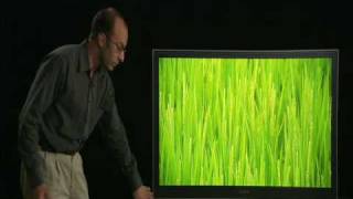 Sony 3LCD Television Training video [upl. by Ailimac417]