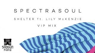 SpectraSoul  Shelter ft Lily McKenzie VIP Mix [upl. by Tiffie164]