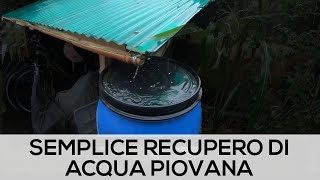 Raccolta ACQUA PIOVANA Fai da te 200 litri [upl. by Yerxa]