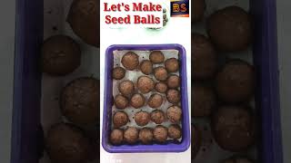 Seed ball preparation activity [upl. by Godfry]