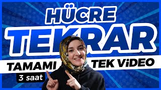 2 Hücre FULL TEKRAR   9 Sınıf Biyoloji  TYT Biyoloji Konu Anlatımı 2 [upl. by Belamy]