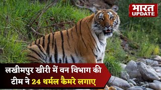 Lakhimpur Kheri Tiger लखीमपुर खीरी में वन विभाग की टीम ने 24 थर्मल कैमरे लगाए  Bharat Update [upl. by Meisel]