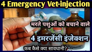 VetInjection👉 4 Emergency injectionमरते पशुओं को बचाने वाले 4 इमरजेंसी इंजेक्शन👍 [upl. by Sevein281]