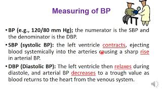 Treatment of Hypertension [upl. by Lessig]