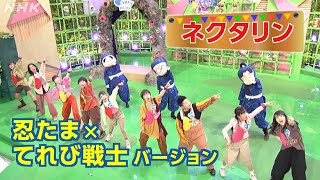 天てれ 300万回再生ありがとう！『ネクタリン』忍たま×てれび戦士バージョン  マカロニえんぴつ×yurinasia【天才てれびくん】 NHK [upl. by Joceline]