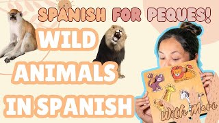 Toddler Learning Wild Animals in Spanish  Peques Learn Spanish  Spanish for Peques [upl. by Shaum]