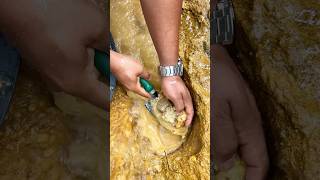 Crazy Hole😱😱‼️we got 10000 from this hole amazing gold discovery golddiscovery goldrush [upl. by Enaek]