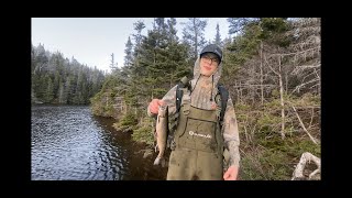 Newfoundland Trout Fishing [upl. by Ciapas]