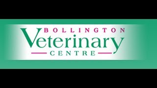 Bollington Veterinary Centre  Working With You For The Health Of Your Pet  Cheshire Vets [upl. by Akiemaj]