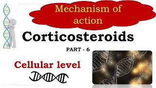 Corticosteroids Part 6  Mechanism of action  Cellular level  Glucocorticoid Responsive Element [upl. by Bernardina724]