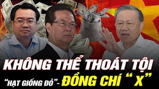 CHẠY ĐÂU CHO THOÁT  Loạt HẠT GIỐNG ĐỎ  Con Trai Nguyễn Tấn Dũng Chính Thức Vào Lò Bác Tô Lâm [upl. by Bernardine]