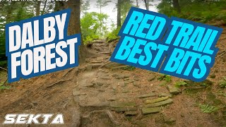 DALBY FOREST MTB💥Full Red Trail [upl. by Cutlerr]