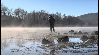 Fly Fishing for Trout White River [upl. by Finny]