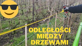 Holandia pracaodległości między starymi drzewami [upl. by Philips577]