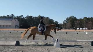 Pinehurst Dressage Schooling with RockOn Rose [upl. by Florida]