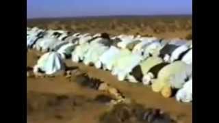 Eid prayer in Algeria year 1989 Maliki Way  صلاة عيد [upl. by Novikoff]