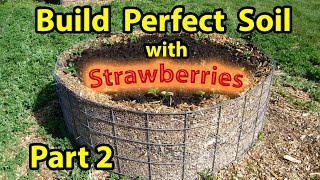 How to Build  NATURES Healthy Soil  in Raised Wood Chip Organic Bed Gardening  Designs  Part 2 [upl. by Swanson]