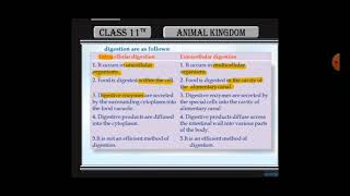 Difference between intracellular and extracellular digestion [upl. by Yesnnyl]