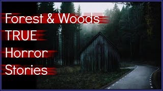 5 TRUE Scary Wilderness amp Woods HORROR Stories  Halloween Special [upl. by Hewes361]