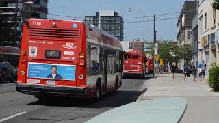 TTC Buses 10 [upl. by Eidob378]