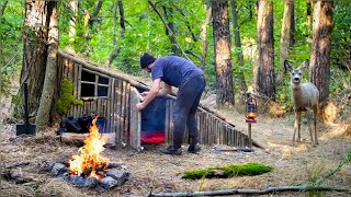 Building small Hut  Shelter in the woods  Bushcraft Survival [upl. by Frymire]