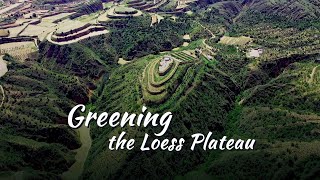 Greening the Loess Plateau [upl. by Charis]